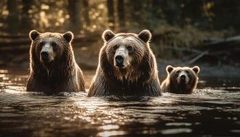 in via di estinzione specie scherzosamente spruzzo nel natura selvaggia acqua generato di ai foto