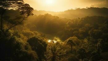 tramonto al di sopra di tropicale foresta pluviale, un' tranquillo scena generato di ai foto