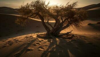 tranquillo scena di increspature su sabbia duna generato di ai foto