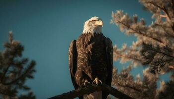 maestoso Calvo aquila perching su albero ramo generato di ai foto