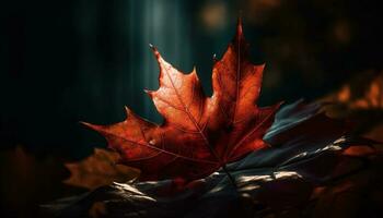 vivace autunno acero albero, un' ardente bellezza generato di ai foto