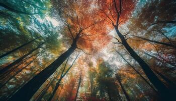 vivace autunno fogliame vernici tranquillo foresta paesaggio generato di ai foto