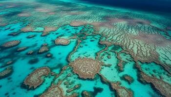 turchese acque svelare un' vivace corallo scogliera generato di ai foto