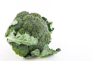 broccoli isolato su bianca sfondo. brassica oleracea foto