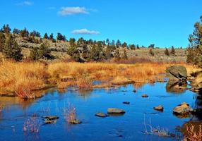 riparian gold una vista autunnale lungo il fiume deschutes a cline falls state park vicino a redmond o foto