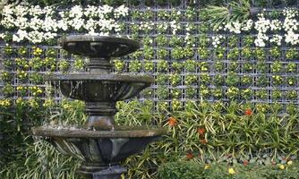 fontana d'acqua in giardino foto