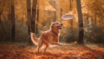 d'oro cane da riporto cucciolo giocando nel autunno foresta generato di ai foto