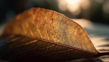 vivace autunno fogliame crea astratto modello nel retroilluminato foresta fondale generato di ai foto