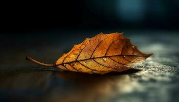 vivace autunno acero le foglie caduta su bagnato foresta pavimento, bellissimo generato di ai foto