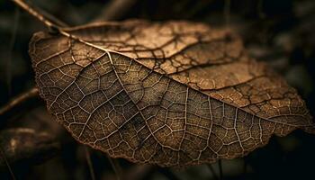 vivace foglia vena modello su secco pianta, autunno bellezza catturato generato di ai foto