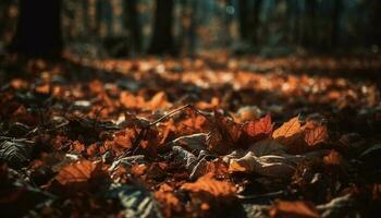 vivace autunno fogliame crea un' colorato foresta paesaggio nel ottobre generato di ai foto
