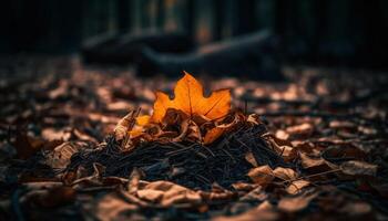 vivace acero le foglie cadente, un' ardente autunno paesaggio nel novembre generato di ai foto