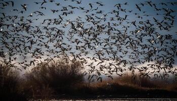 natura Riserva a crepuscolo grande gruppo di volante uccelli staglia generato di ai foto