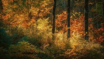 vivace autunno fogliame vernici tranquillo foresta paesaggio nel Multi colorato bellezza generato di ai foto