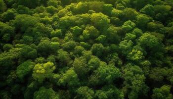 alto su nel il cielo, volante sopra il autunno paesaggio generato di ai foto