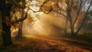 il tranquillo autunno foresta si illumina con vivace oro luce del sole generato di ai foto