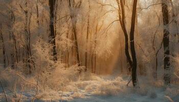 un' tranquillo scena di un' inverno foresta, congelato nel bellezza generato di ai foto