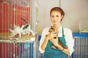 donna Lavorando nel animale riparo foto