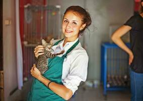 donna Lavorando nel animale riparo foto