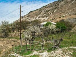 salice siepe, un' cancello fatto di salice ramoscelli nel un autentico montagna daghestan villaggio. primavera fioritura giardino nel un' montagna villaggio. foto