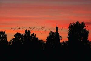 un' gregge di uccelli contro il sfondo di un' Chiesa e un' rosso tramonto. un' mistico concetto foto