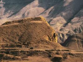 viaggio nel il sabbioso montagne. paesaggio con sabbioso colline di rosso dune e morto alberi nel daghestan la zona. daghestan paesaggio con grande sabbioso duna e turistico autobus per il distanza. foto