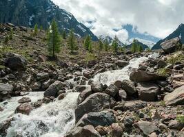 sorprendente paesaggio con potente montagna fiume e conifero foresta nel verde valle contro alto acuto rocce e nevoso montagna gamma sotto nuvoloso cielo. montagna torrente a piovoso variabile tempo atmosferico. foto