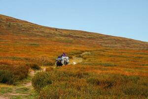 drop-off di turisti su a cavallo. piccolo caravan su groppa con bianca cane su il tundra con boschetti di nano betulla discende a partire dal un' collina nel il distanza. foto