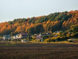 un' collettivo azienda agricola campo con arabile terra nel davanti di il cottage vicino il verde collina. foto