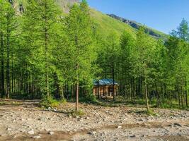 a caccia casetta nel il taiga. turistico di legno Gatehouse nel un' montagna foresta. foresta soleggiato radura con un' di legno portineria. estate paesaggio nel naturale colori con luminosa verde. foto