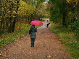 donna nel un' buio cappotto e un' rosso ombrello passeggiate lungo un' avvolgimento sentiero nel il pioggia foto