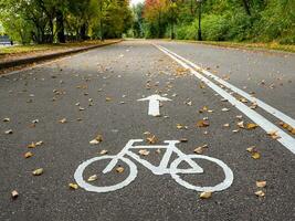 bicicletta sentiero nel autunno. marcatura su il asfalto. foto