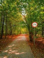 un' cartello proibire Ciclismo su un vicolo nel un' verde parco. foto