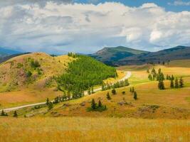 pittoresco estate montagna paesaggio con strada attraverso il passaggio. girare su il asfalto montagna autostrada. chuysky tratto e un' Visualizza di il nord chuysky montagna gamma nel il altai, Siberia, Russia. foto