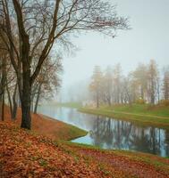 nebbioso autunno paesaggio nel stato Museo Riserva gatchina. nebbioso autunno Visualizza di il parco, karpin stagno e vecchio pietra ponte. foto