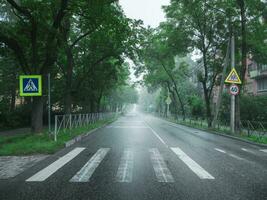 vuoto nebbioso strada nel il presto mattina foto