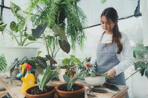 casa giardinaggio, amore di impianti e cura. piccolo attività commerciale. foto