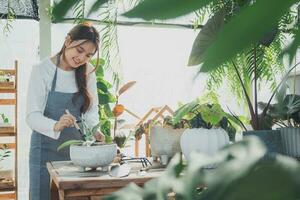 casa giardinaggio, amore di impianti e cura. piccolo attività commerciale. foto