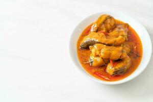 pesce gatto dalla coda rossa in salsa di curry rosso essiccata chiamata choo chee foto