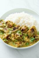 pollo afgano al curry verde o pollo hariyali tikka hara masala con riso foto