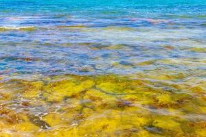 pietre rocce coralli turchese verde blu acqua su spiaggia Messico. foto