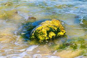 pietre rocce coralli turchese verde blu acqua su spiaggia Messico. foto