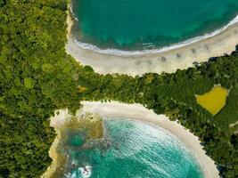 aereo Visualizza di manuel antonio nazionale parco nel costa rica. foto