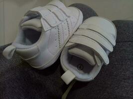 foto di un' carino poco bianca bambino scarpa con triplicare adesivo