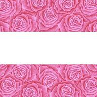 mano disegnato acquerello rosa rosa telaio isolato su bianca sfondo. può essere Usato per invito, cartolina, manifesto, libro decorazione e altro stampato prodotti. foto