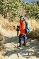 un' giovane viaggiatore il trekking su foresta pista , Nepal foto