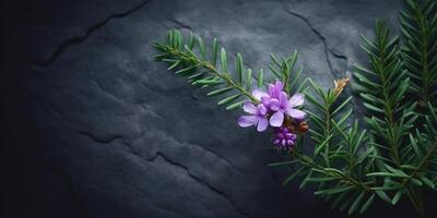 bellezza tasso fiore, giardino decorazione, copia spazio sfocato sfondo, generativo ai foto