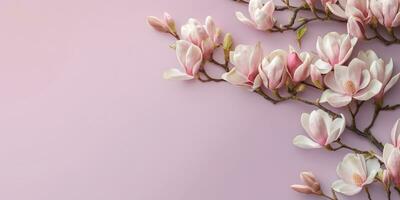 magnolia natura rosa fiore per naturale ingrediente pelle cura cosmetici, copia spazio sfondo, generativo ai foto