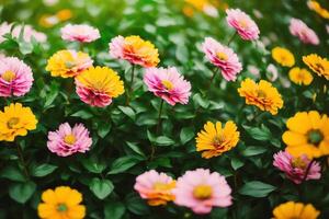 Immagine di colorato mazzo primavera bandiera per 8 marzo e madre S giorno . ai generato. foto