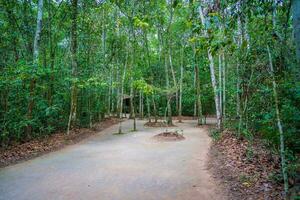 il cu chi tunnel erano il viet cong base di operazioni per il tet offensivo nel 1968. famoso turista attrazione nel Vietnam. azione foto